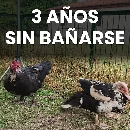 El Prado Familias * Valbona